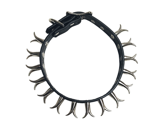Black faux leather collar with two rows of cat claw spikes top view