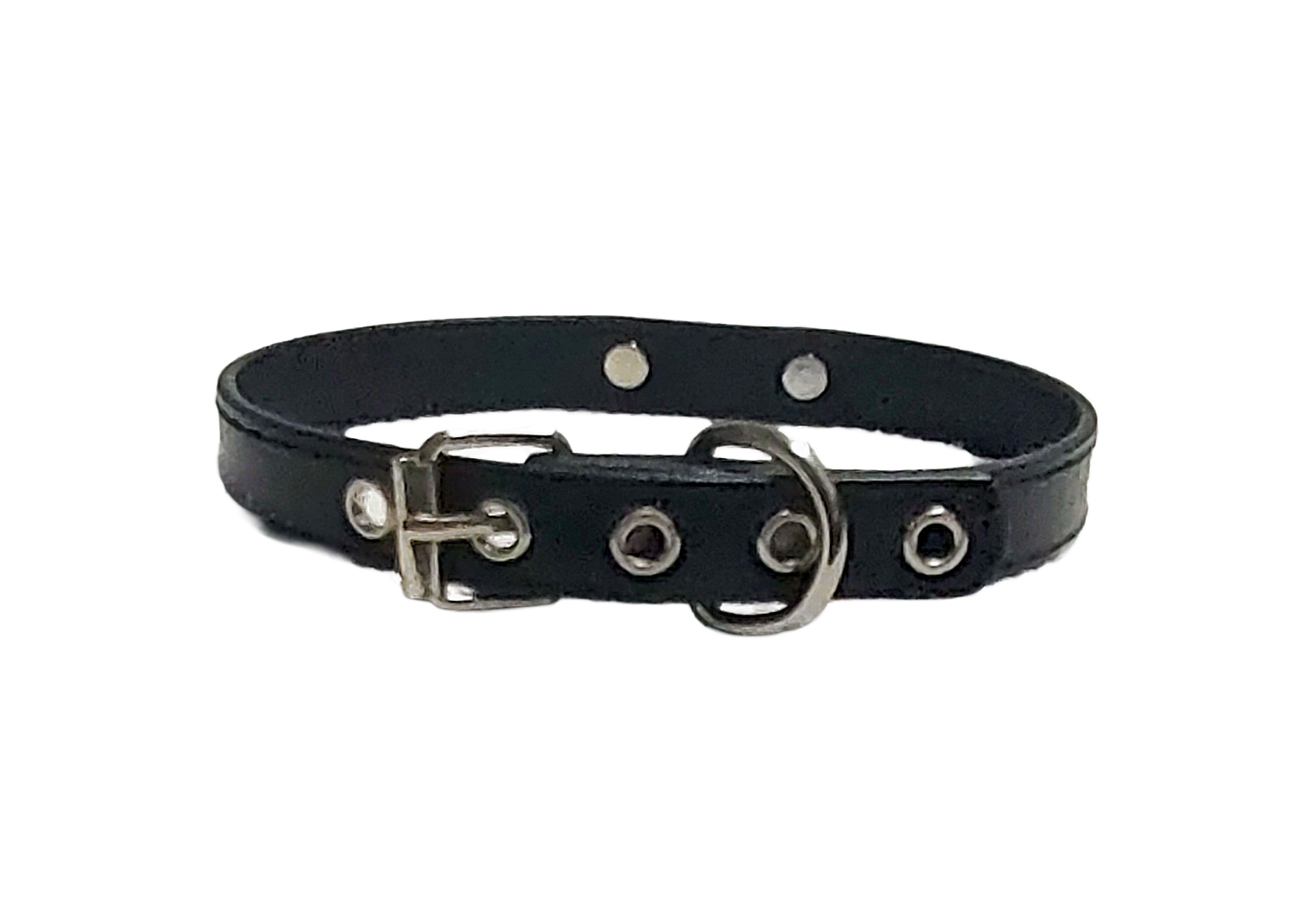 Shadow Tether Coachman Loop Collar
