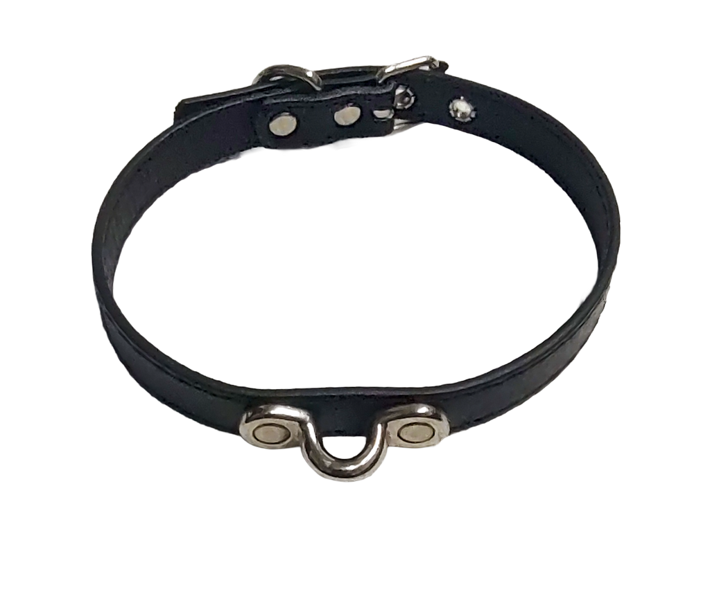 Shadow Tether Coachman Loop Collar