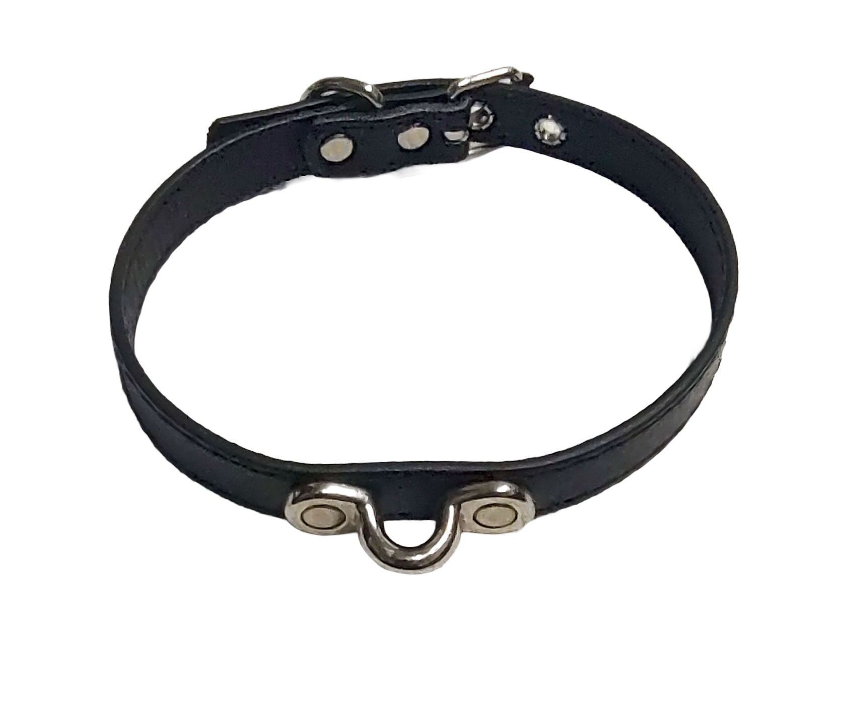 Shadow Tether Coachman Loop Collar