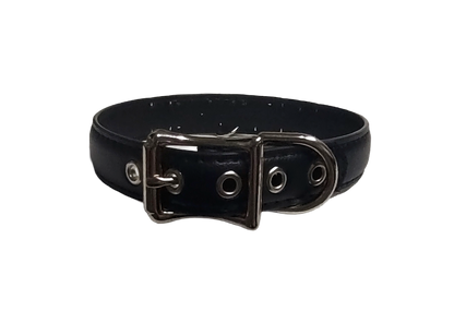 Black faux leather collar with KITTEN letter studs and hanging bell back view
