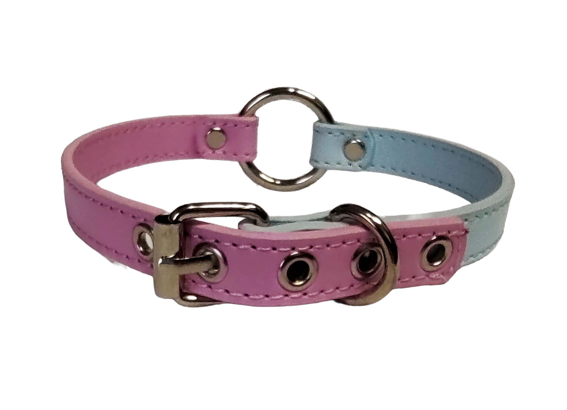 Pastel blue and pink split collar with center o-ring back view