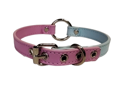 Pastel blue and pink split collar with center o-ring back view