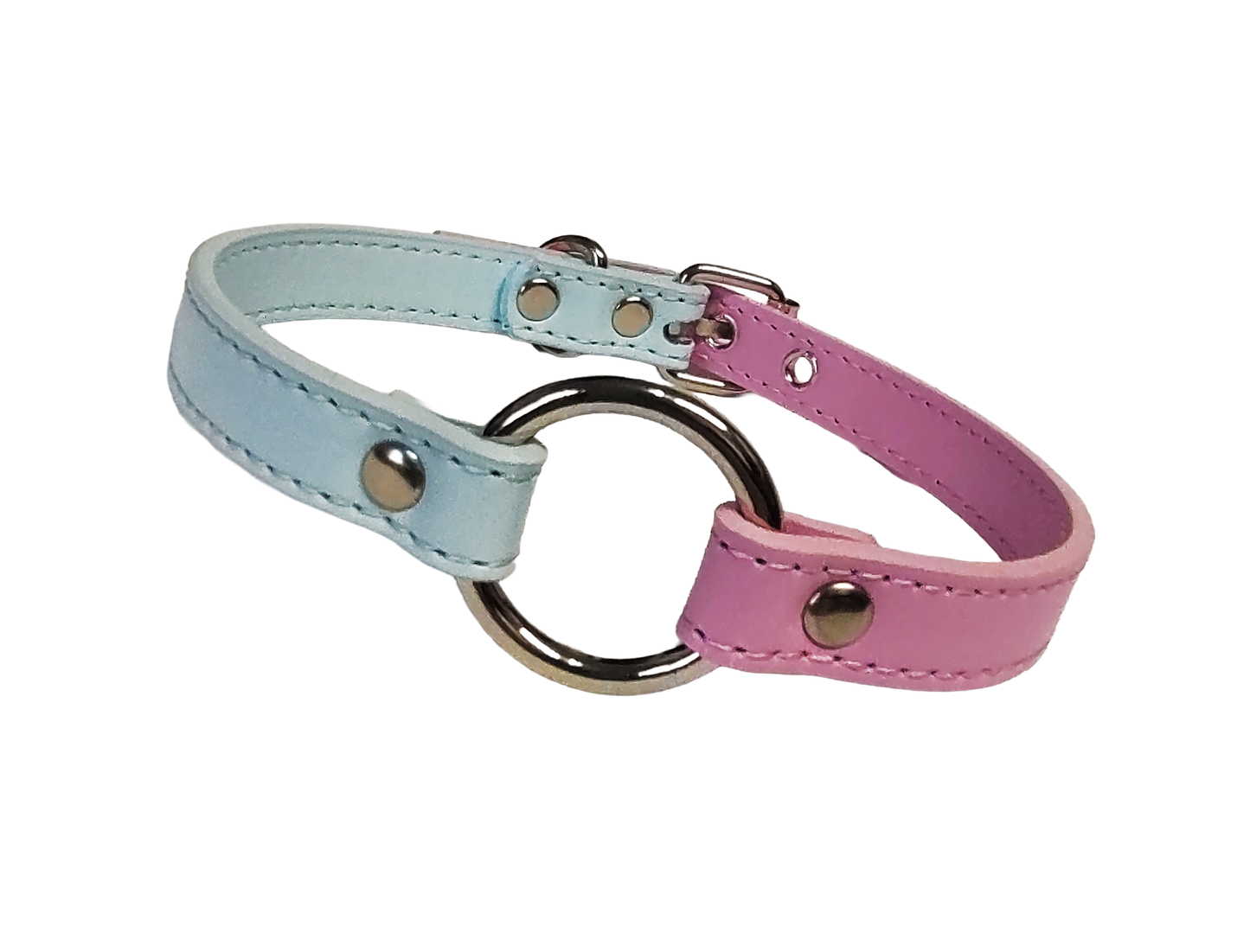 Pastel blue and pink split collar with center o-ring front view