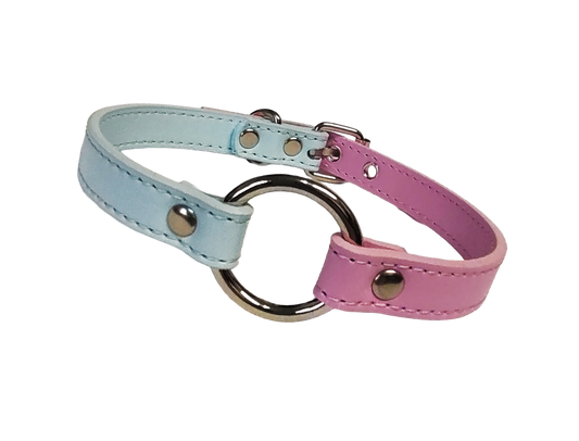 Pastel blue and pink split collar with center o-ring front view