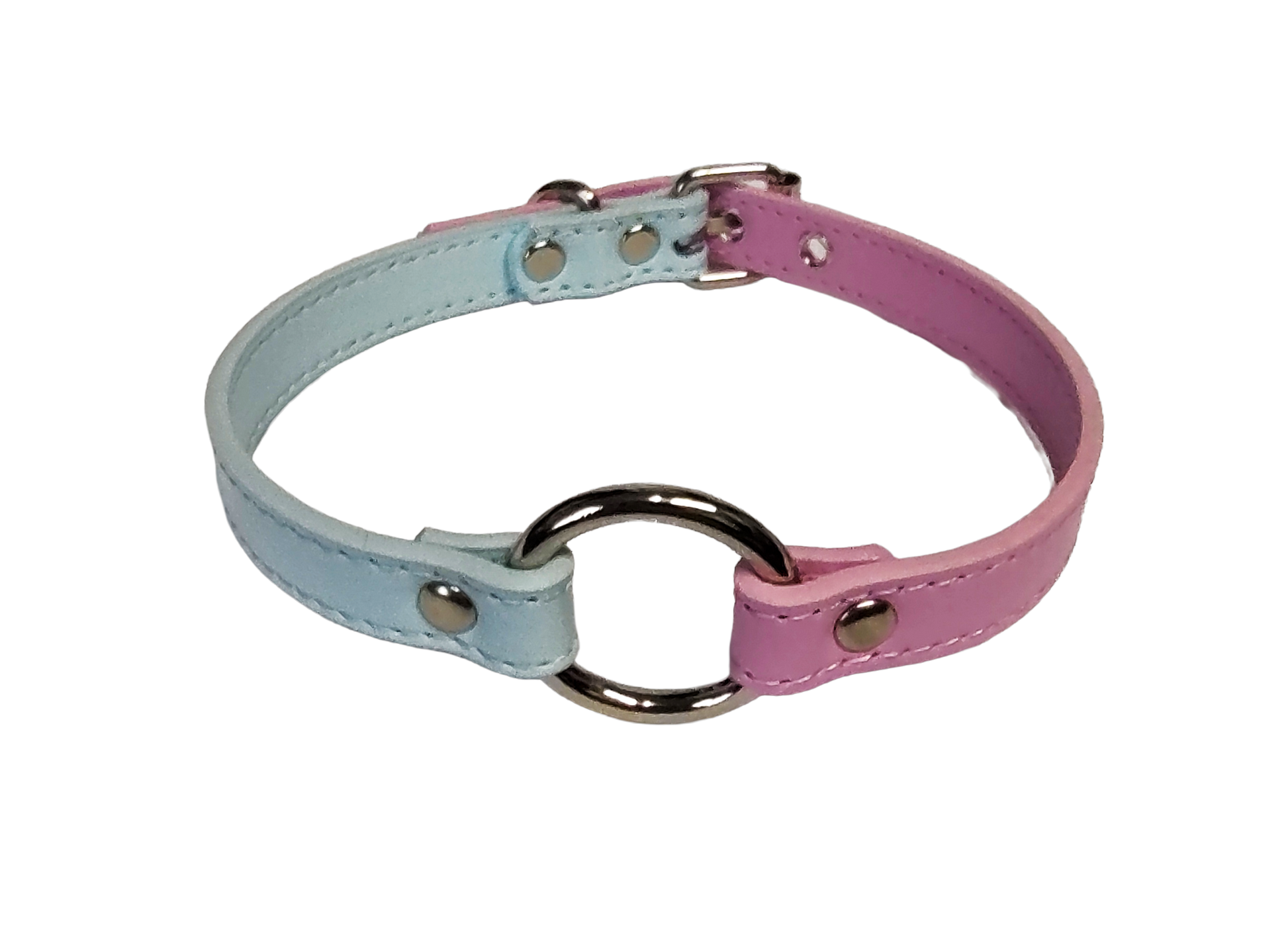 Pastel blue and pink split collar with center o-ring top view