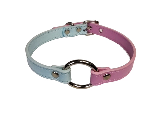 Pastel blue and pink split collar with center o-ring top view